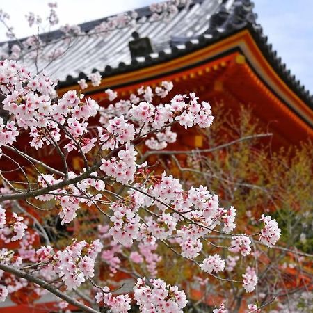 Stay Sakura Kyoto Matsuri Экстерьер фото